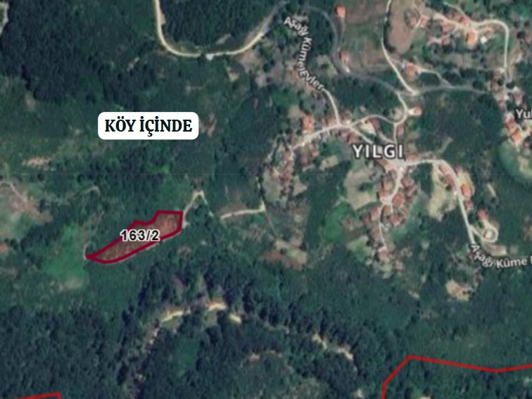 DÜZCE YIĞILCA YILGIN  KÖYÜ’NDE 4.742 M² FINDIK BAHÇESİ SATILIKTIR - DÜZCE YIĞILCA fotoğraf 5